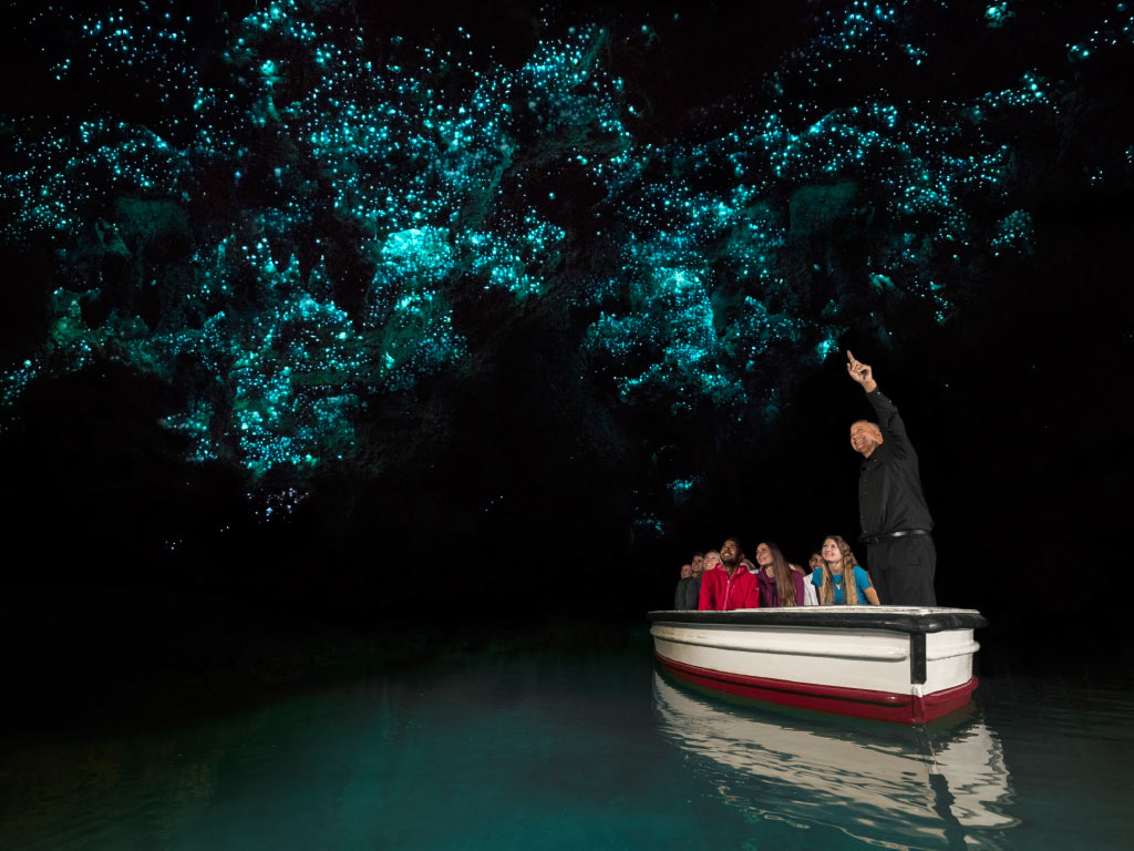 waitomo-caves-glowworms-from-boat_1024x768.jpg