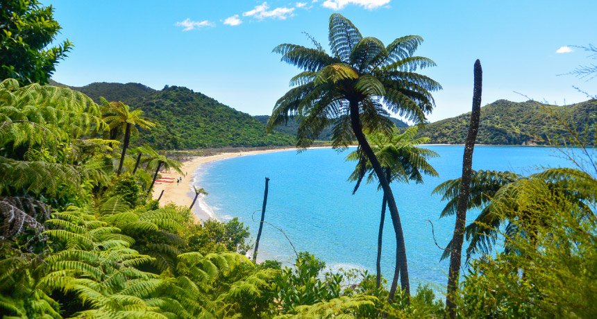 Abel-Tasman-Post_860x460.jpg