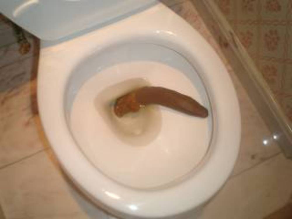 toilet-shit4.jpg