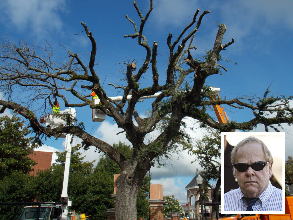 toomers-corner-harvey-updyke-95bddd74714ce567.jpg