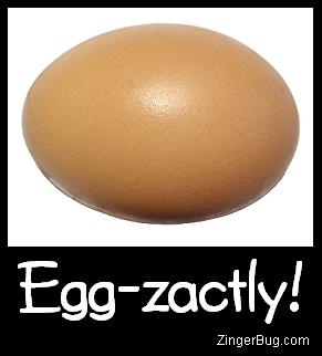 egg_zactly.JPG