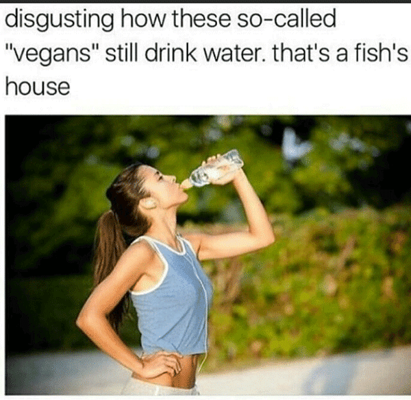 fishhouse.png