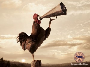 early-riser-rooster-300x225.jpg