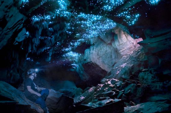 glowworm-caving-adventure.jpg