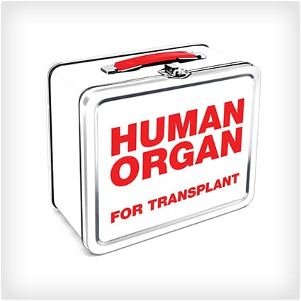 Human-Organ-Lunch-Box.jpg