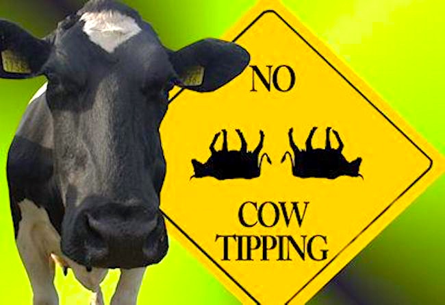 NoCowTipping.jpeg