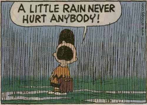 charlie-brown-rain.jpeg