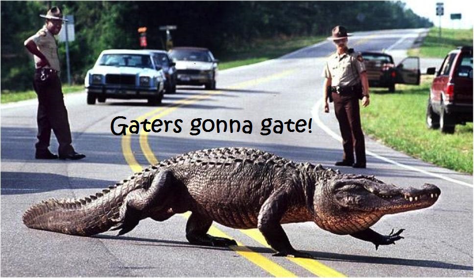 gators_gonna_gate__by_beardykomodo-d8gh64d.jpg